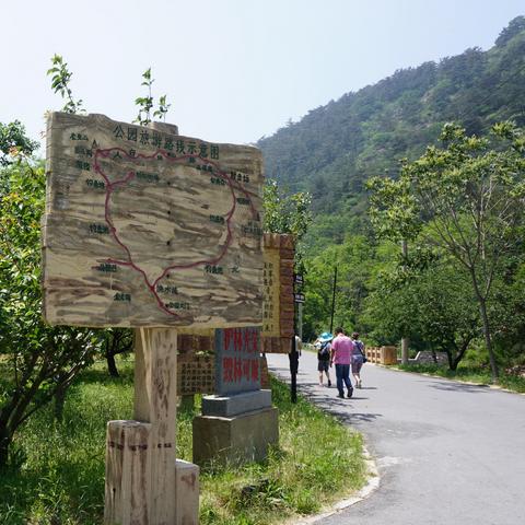 大连森林公园的相关长尾关键词有哪些