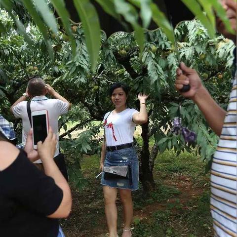 仙桃天气预报视频的长尾关键词有哪些