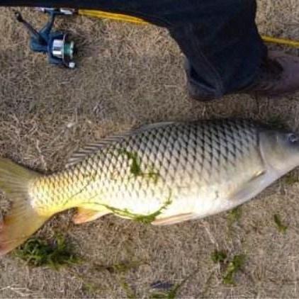 带千的成语大全的长尾关键词有哪些