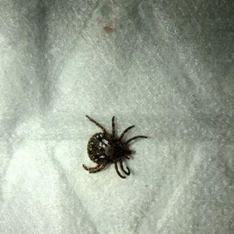 [新病毒苏州]相关长尾关键词有哪些