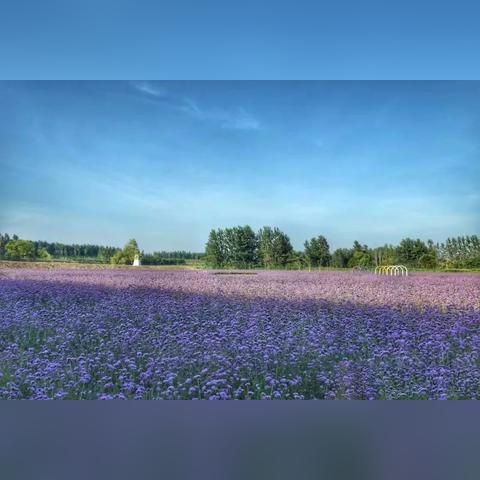 什么型网络营销目标