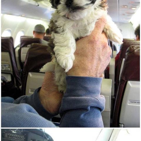 有家宠物医院宁波的相关长尾关键词有哪些