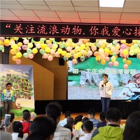 怎么才能上兰州师大附小？