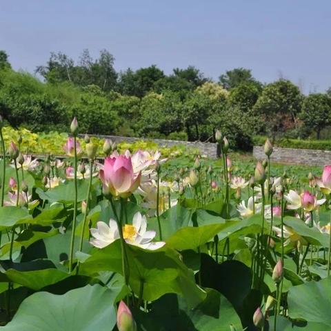 西安市斗门镇怎么去