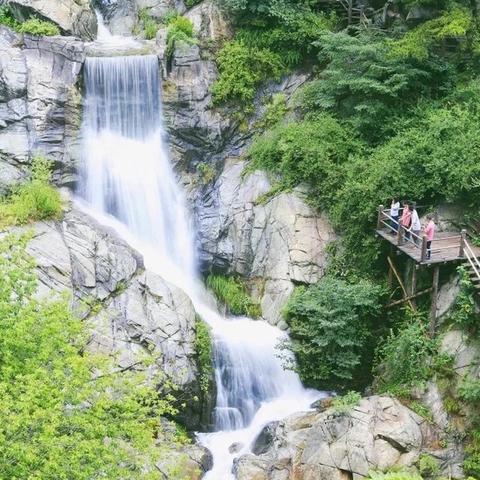 济南市师育学校怎么样