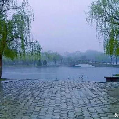 烟台雨中足球比赛直播的长尾关键词有哪些