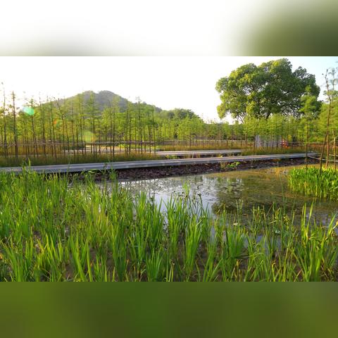 苏州市有什么地区