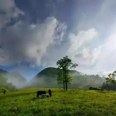 重庆景点溫度的长尾关键词有什么