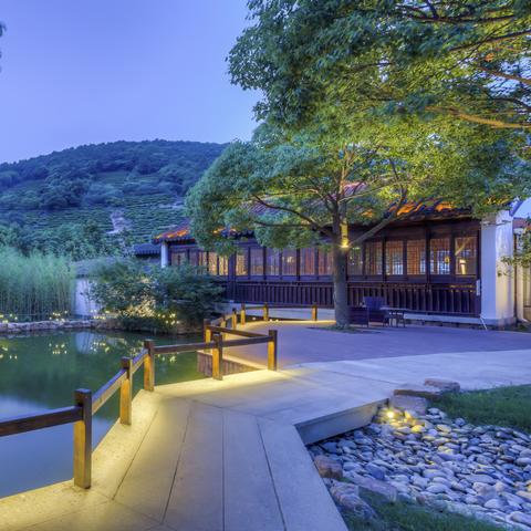 苏州市什么树木质最硬