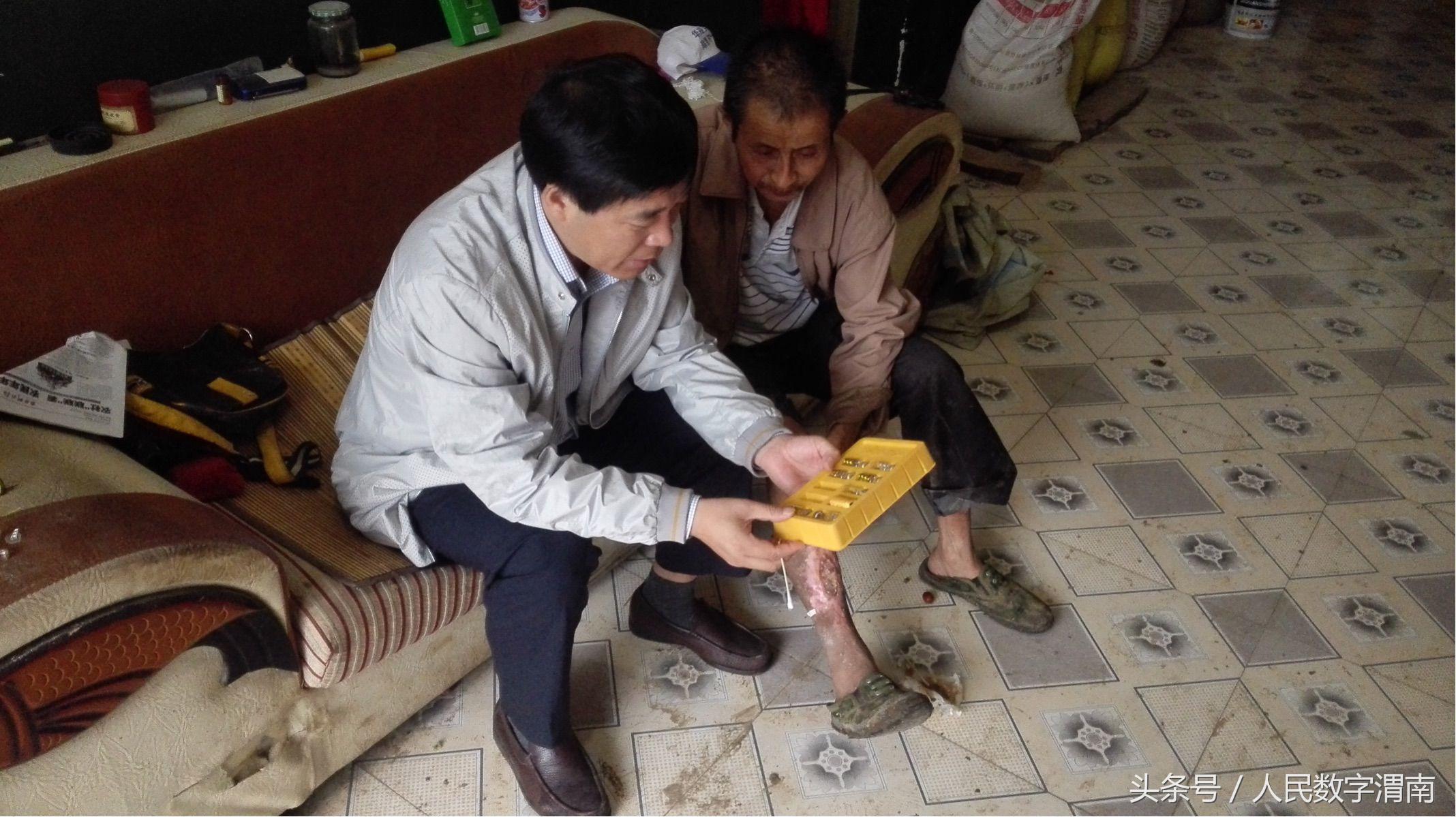 临床皮肤科杂志参考文献格式老了的泰迪如何照顾才正确