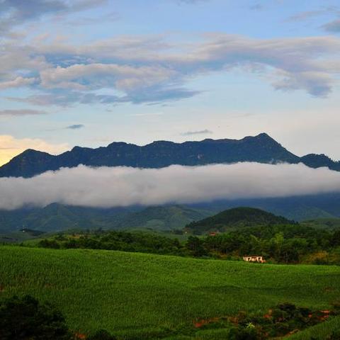 桂林市森林公园在哪里啊