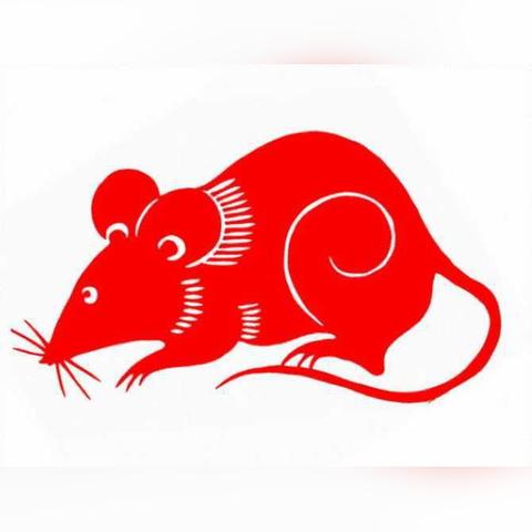 十二生肖运势推算方法(十二生肖运程算命)