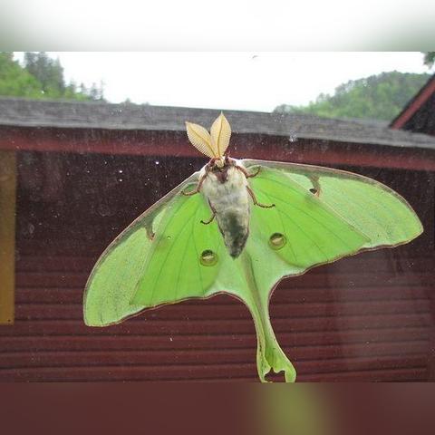 全家画图片大全4人的长尾关键词有什么