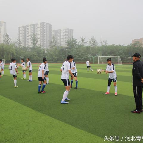 保定市的普通高中有哪些