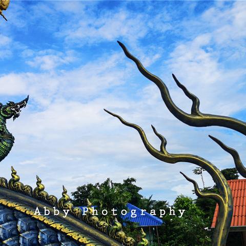 河南孟县地图的相关长尾关键词有哪些