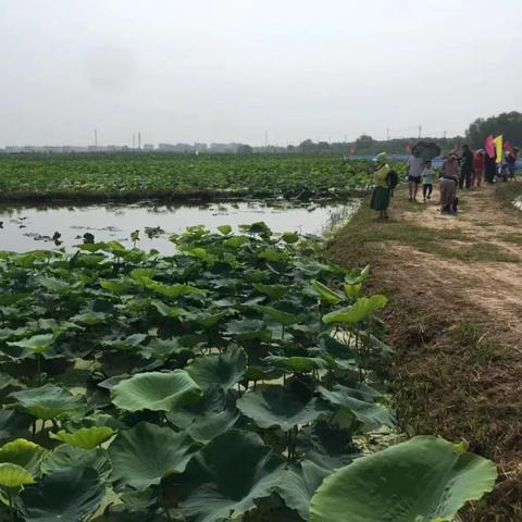 济南荷花啤酒相关长尾关键词有哪些
