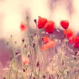 旅程足球真伪怎么看