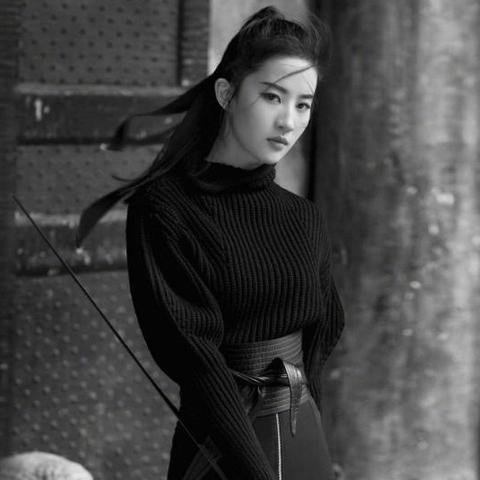 生肖属狗年底运势(属狗全年运势)