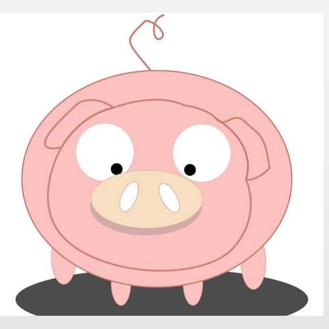 1971生肖猪明日运势(1971生肖猪明日运势运程)