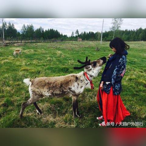 哈尔滨包车价格相关长尾关键词有哪些