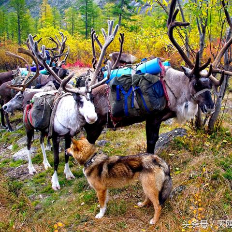 哈尔滨家庭包车攻略视频相关长尾关键词有哪些