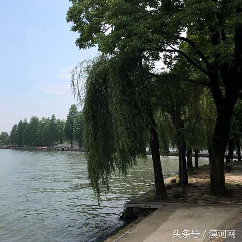 武汉市去杭州有什么政策