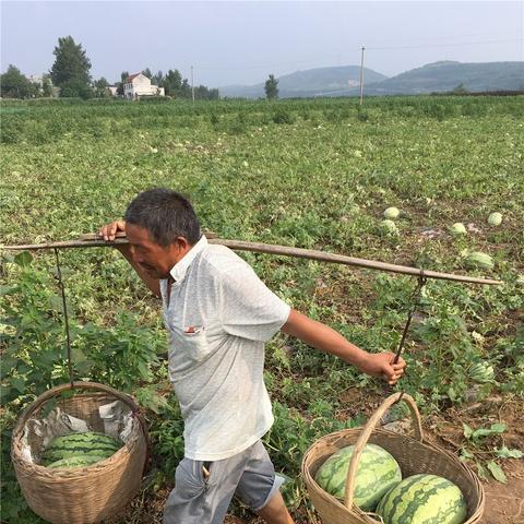 西安旅游下雨咋办相关长尾关键词有哪些