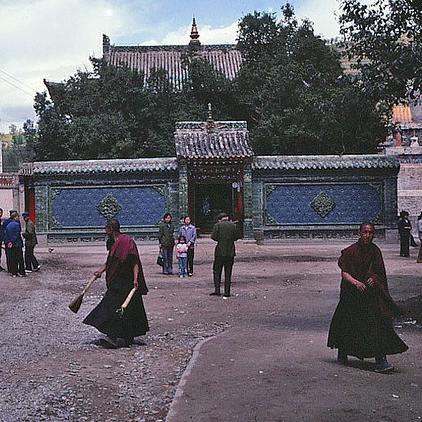 青海大学和沈阳建筑大学相比较哪个好？