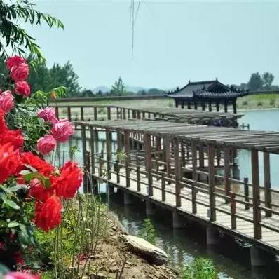 临沂市水总归哪里管