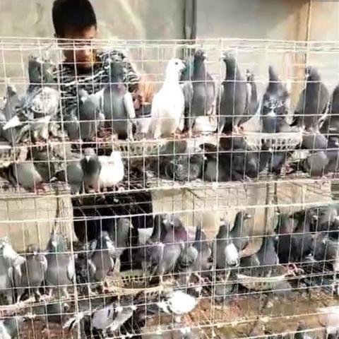 拼车群怎么找到？