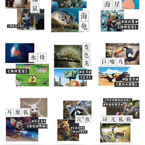 温州市哪里有萌宠店铺转让