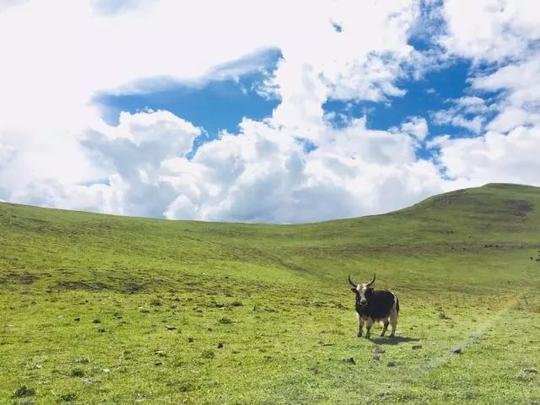 一个四川周边冷门但是美到没朋友的旅游胜地，徒步露营好去处！