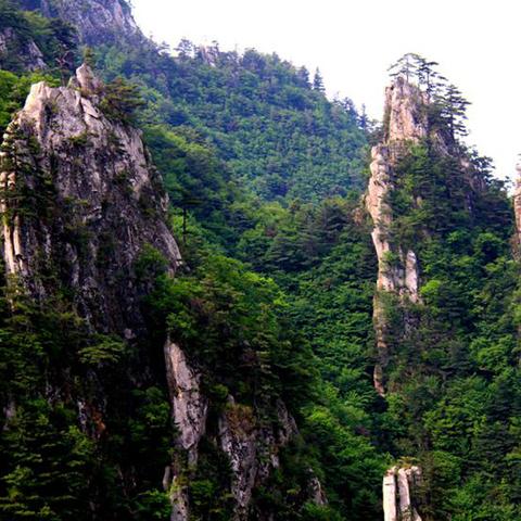 河南郑州有什么景点