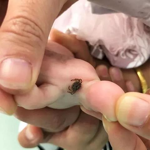 潍坊市至大连市多远的长尾关键词有哪些