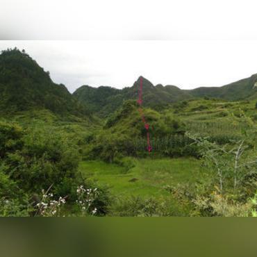 武汉龙风水的长尾关键词有哪些