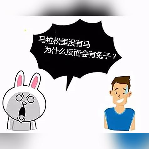 兰州马拉松兔子介绍？