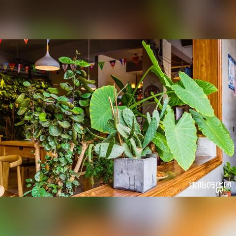 沈阳人少安静的地方？