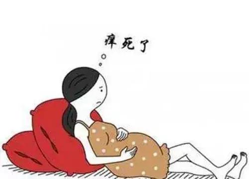 怀孕五个月，不要挠肚子