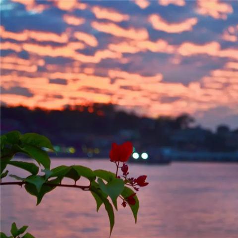 厦门杜尚餐厅的相关长尾关键词有哪些