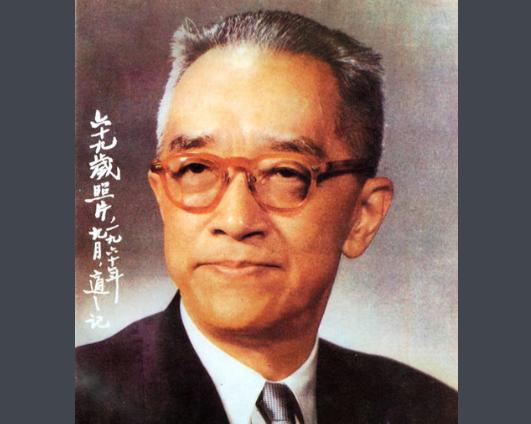 姓蔡的兔宝宝怎么起名(流浪狗你是怎么看待的)