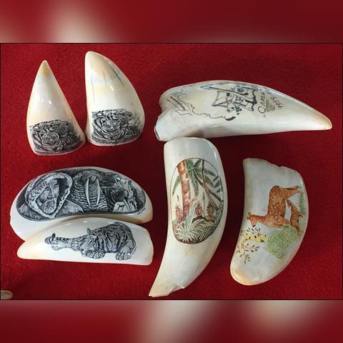 虎林到哈尔滨机票查询相关长尾关键词有哪些