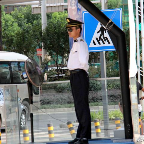 怎么预报温度