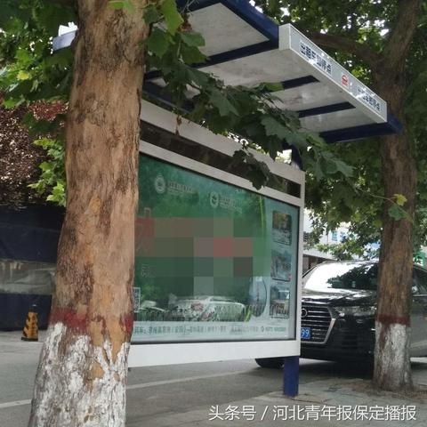 保定市有名的山寨有哪些