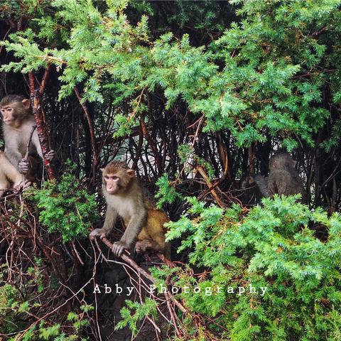 好的群名字大全的长尾关键词有什么