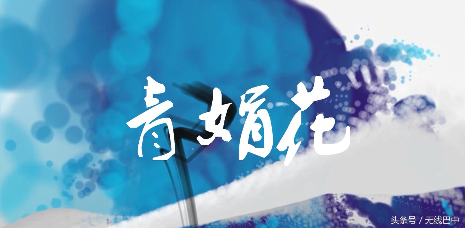 外语电化教学如何写毕业论文教师基本功包括哪些方面