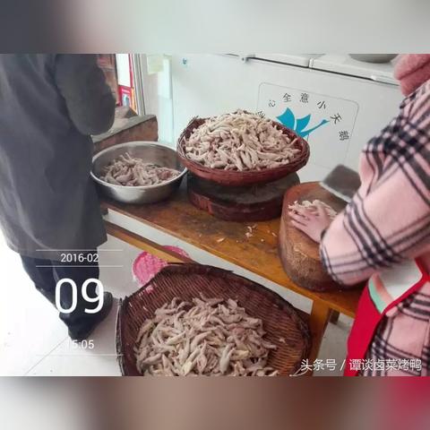 成都市哪里有指甲猫卖的