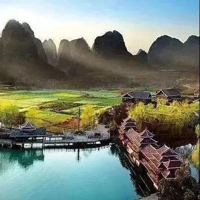 南宁市木棉花结果怎么样