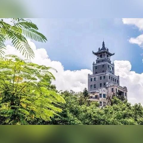 厦门十大国企排行榜？