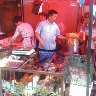 长沙入伏是哪一天？