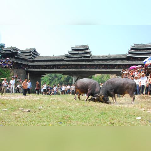 广西桂林旅游线路相关长尾关键词有哪些